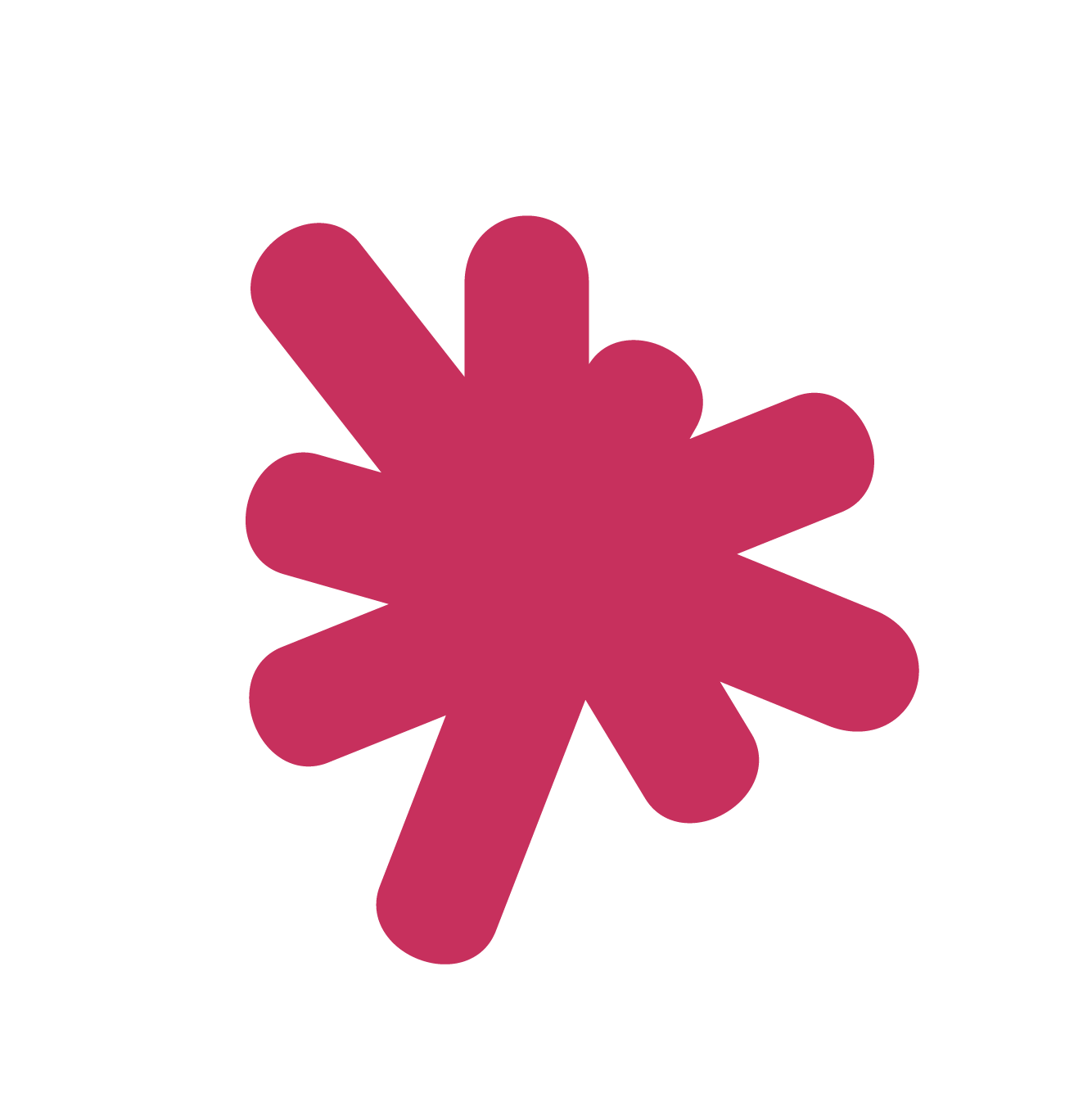Decorative section icon